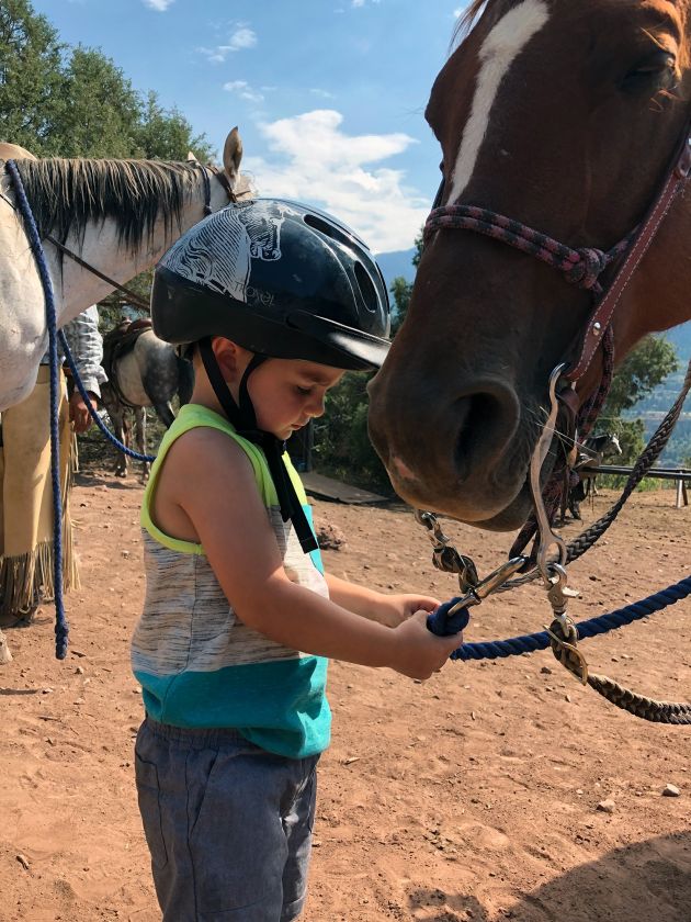 Ouray Horses