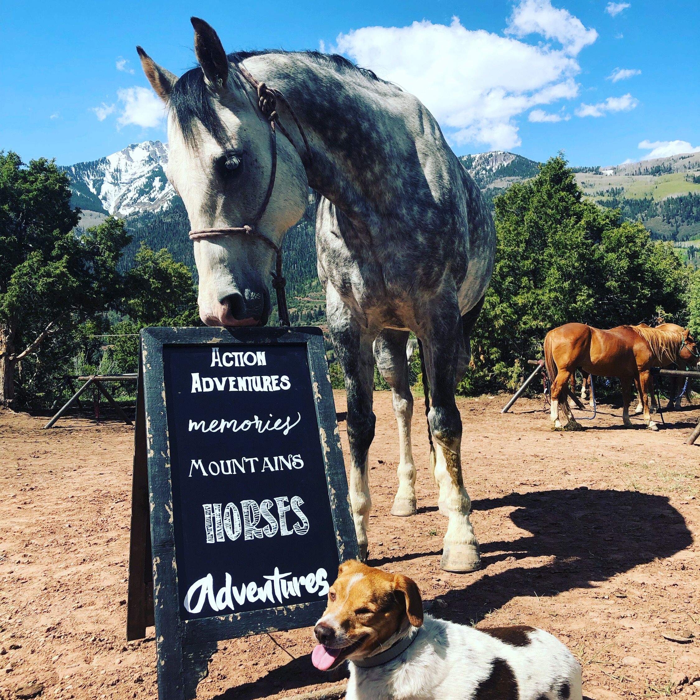ouray horseback riding