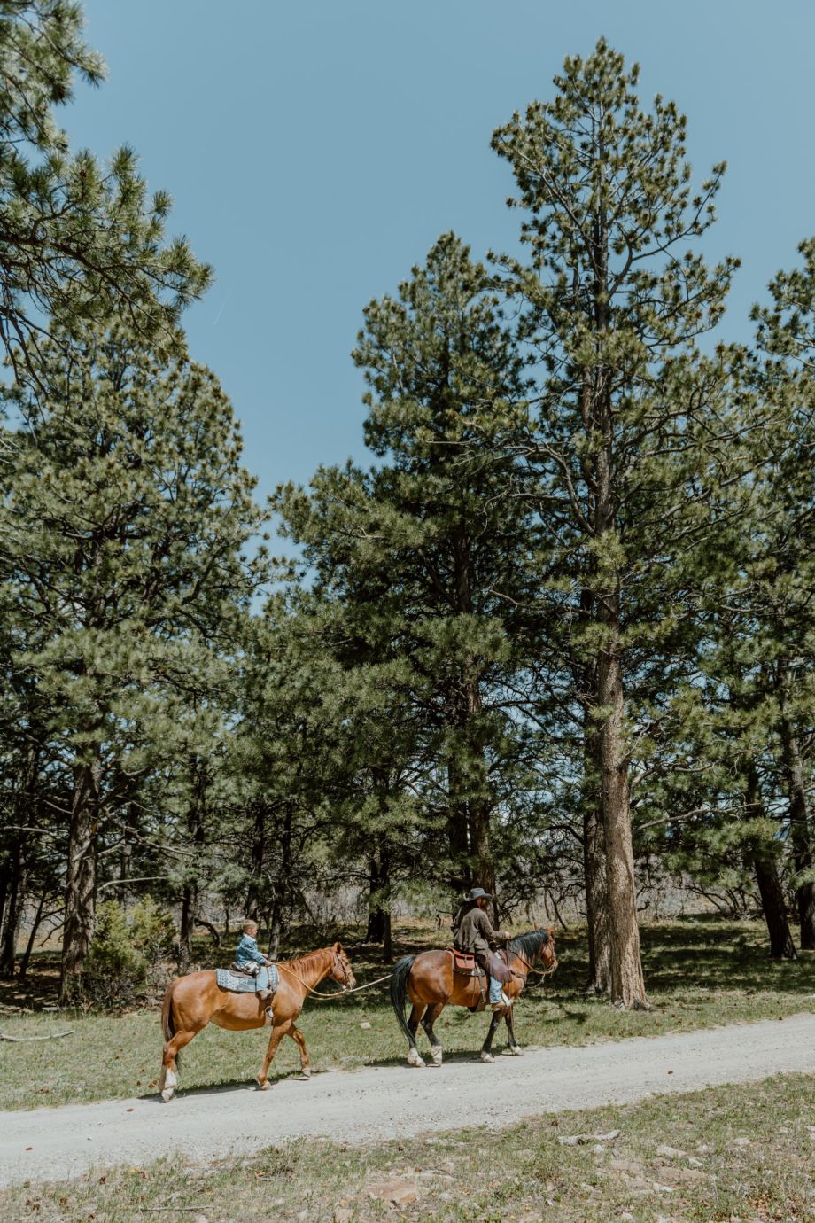 Bake Ranch Telluride Horseback Riding
