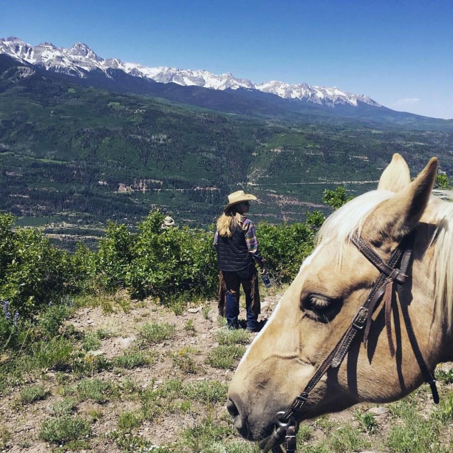 Horse View